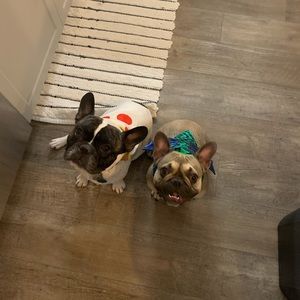 Meet your Posher, John